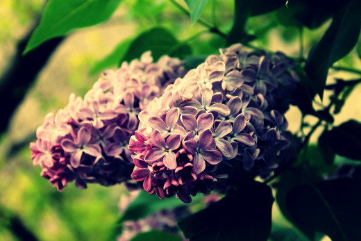734249 (a): :2048x1365